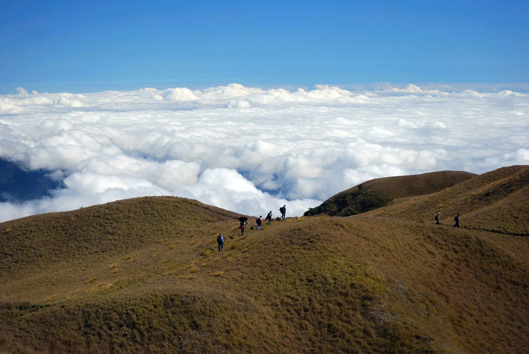 Hikers following a ridge trail across Mount Pulag above the clouds