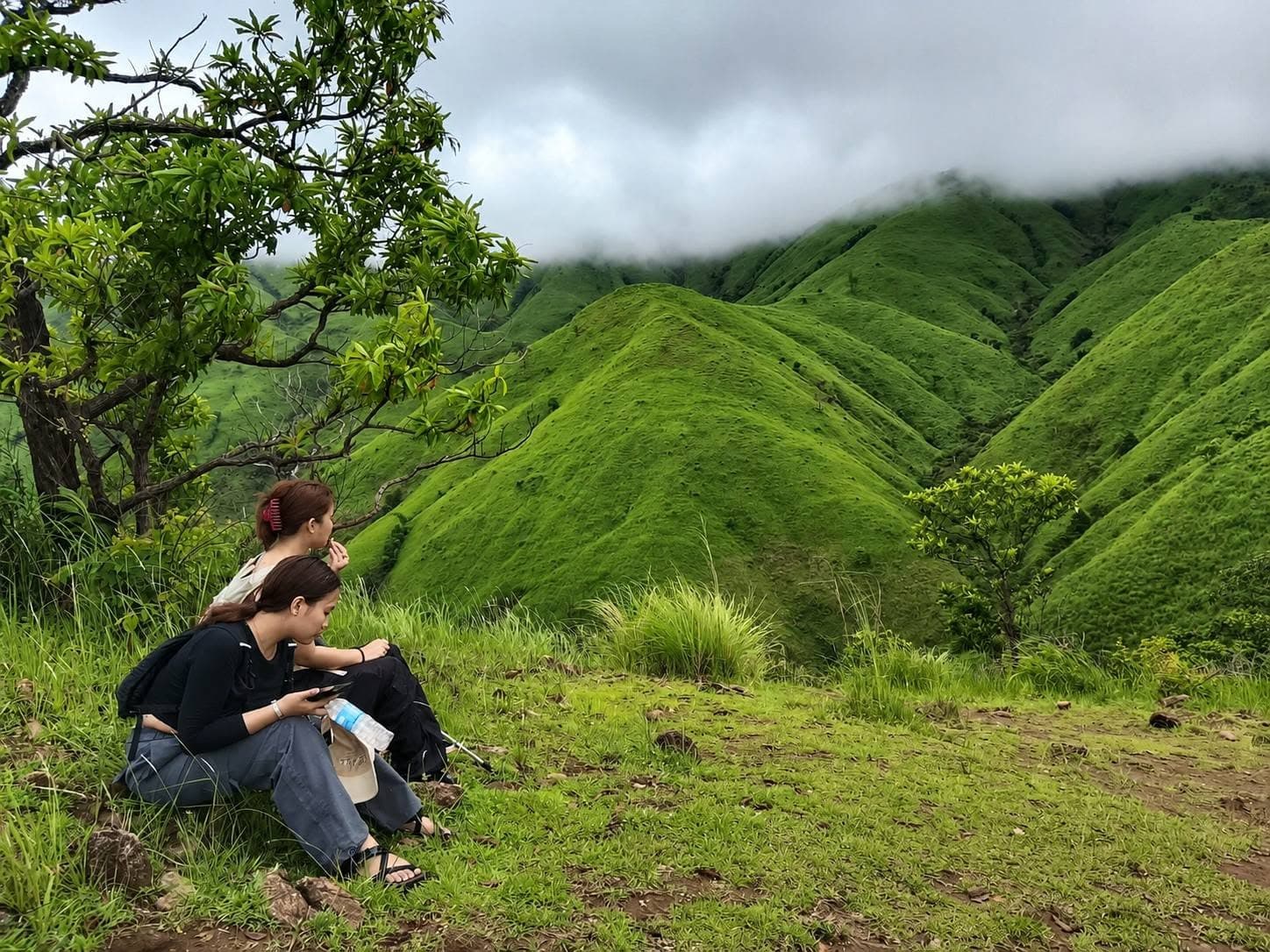Mt. Pulag Ambangeg Weekend Hike trip cover